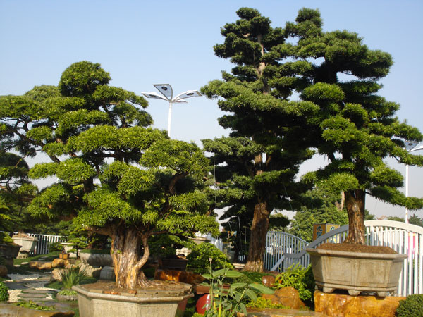 2024年野生动物园景观升级趋势：如何打造兼具教育性与网红属性的生态展区